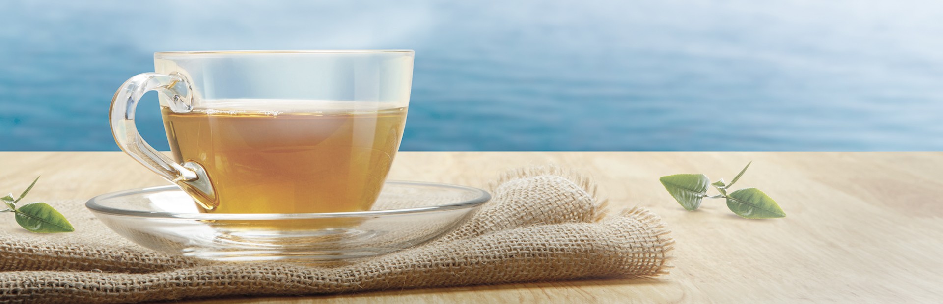 Organic Infus’Océanes Infusions